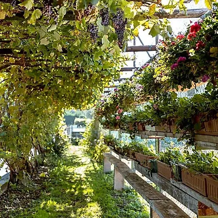 Ξενοδοχείο La Quiete Park 3*